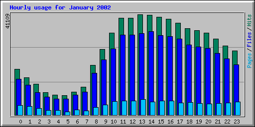 Hourly usage for January 2002